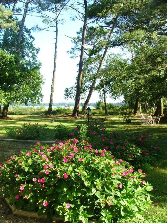 Villa De L'Etang Blanc Seignosse Eksteriør bilde