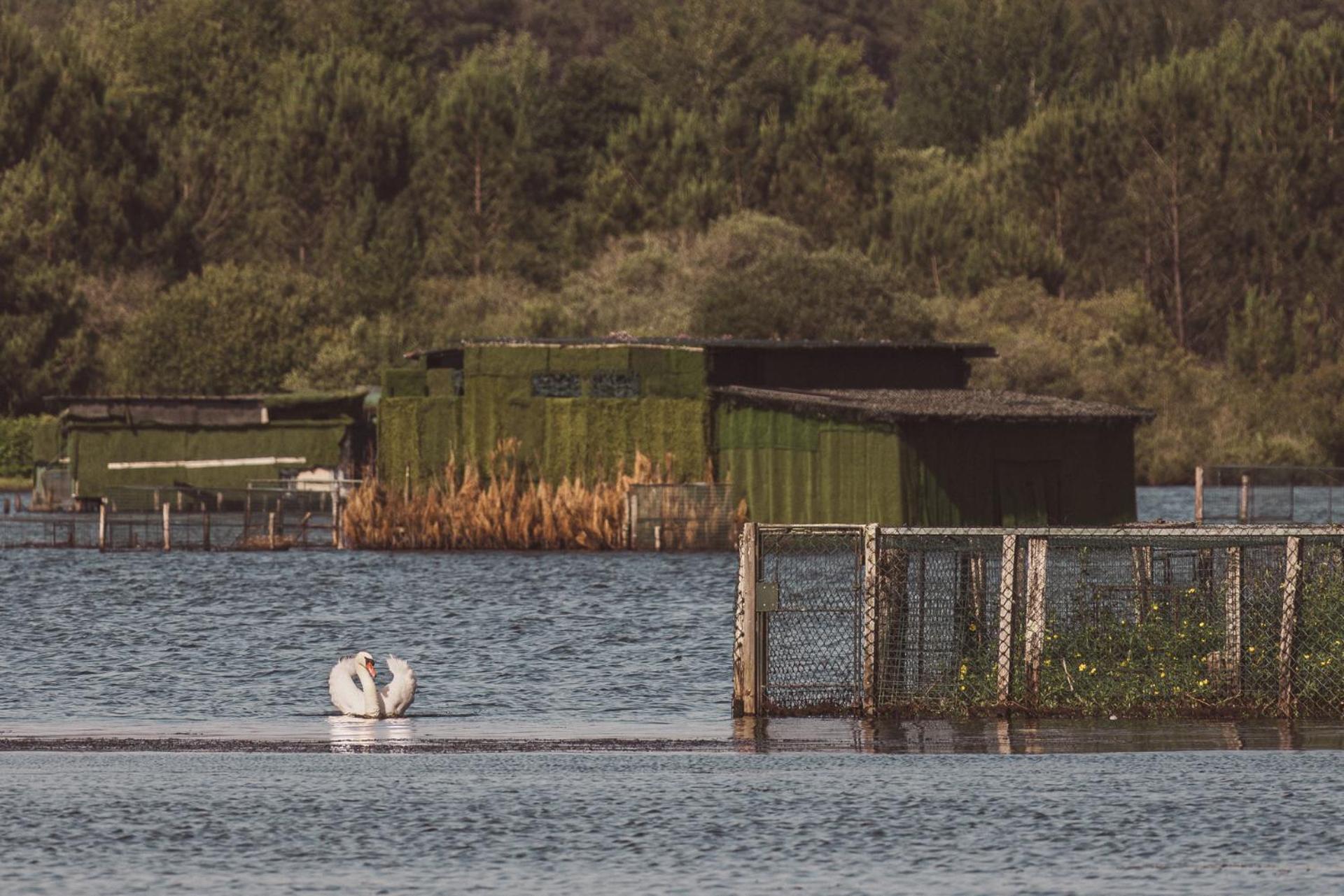 Villa De L'Etang Blanc Seignosse Eksteriør bilde