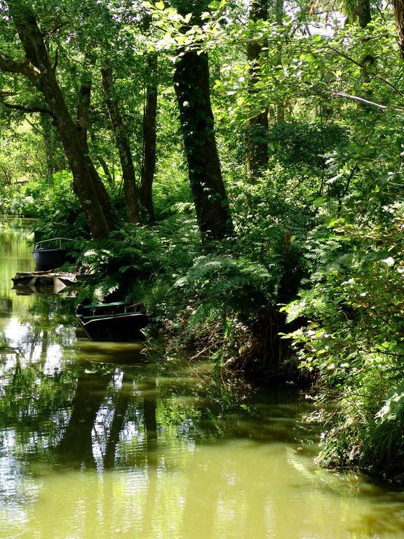 Villa De L'Etang Blanc Seignosse Eksteriør bilde